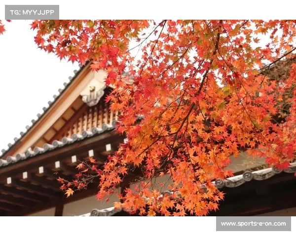 春川国际马拉松10月26日开跑 跟随秋日传说赛道欣赏红叶美景 春川国际马拉松10月26日开跑 跟随秋日传说赛道欣赏红叶美景